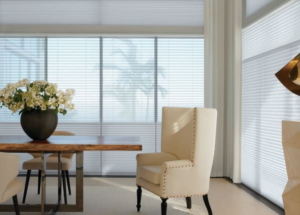 Hunter Douglas Duette® Honeycomb Shades, honeycomb blinds, cellular shades, cellular blinds near Laredo, Texas (TX)