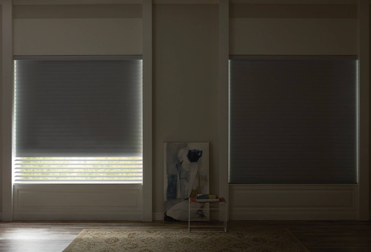 Hunter Douglas Designer Roller Duolite® Shades in living room near Laredo, TX